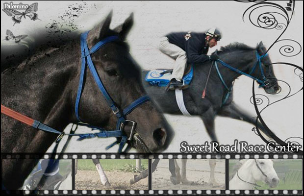 Sweet Road Horse Race Center